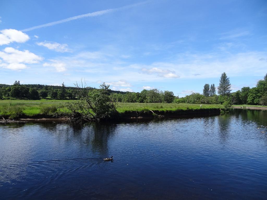 2014_06_Scotland_Day_10_Hiking_around_Callander (2).JPG